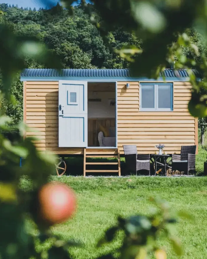 Timber-clad shepherd hut with steps in a green garden setting